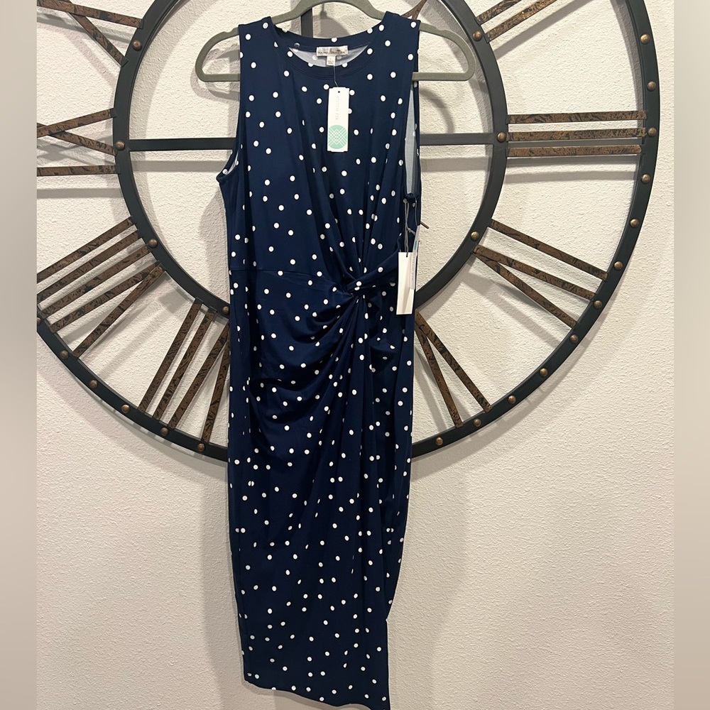 Stitch Fix Dress